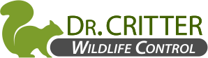 Expert wildlife removal services in , ONTACT