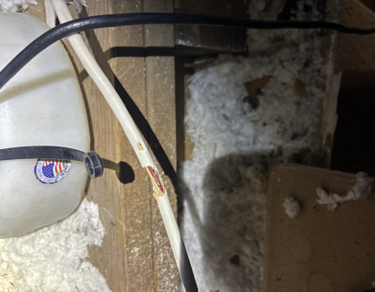 Rats in Your Attic Could Be More Dangerous Than You Think