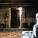 What's That Noise in My Attic? Identifying Florida Wildlife by Sound, Smell, and Damage