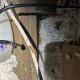 Rats in Your Attic Could Be More Dangerous Than You Think