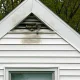 Florida Nuisance Wildlife Trapping Law, Species by Species