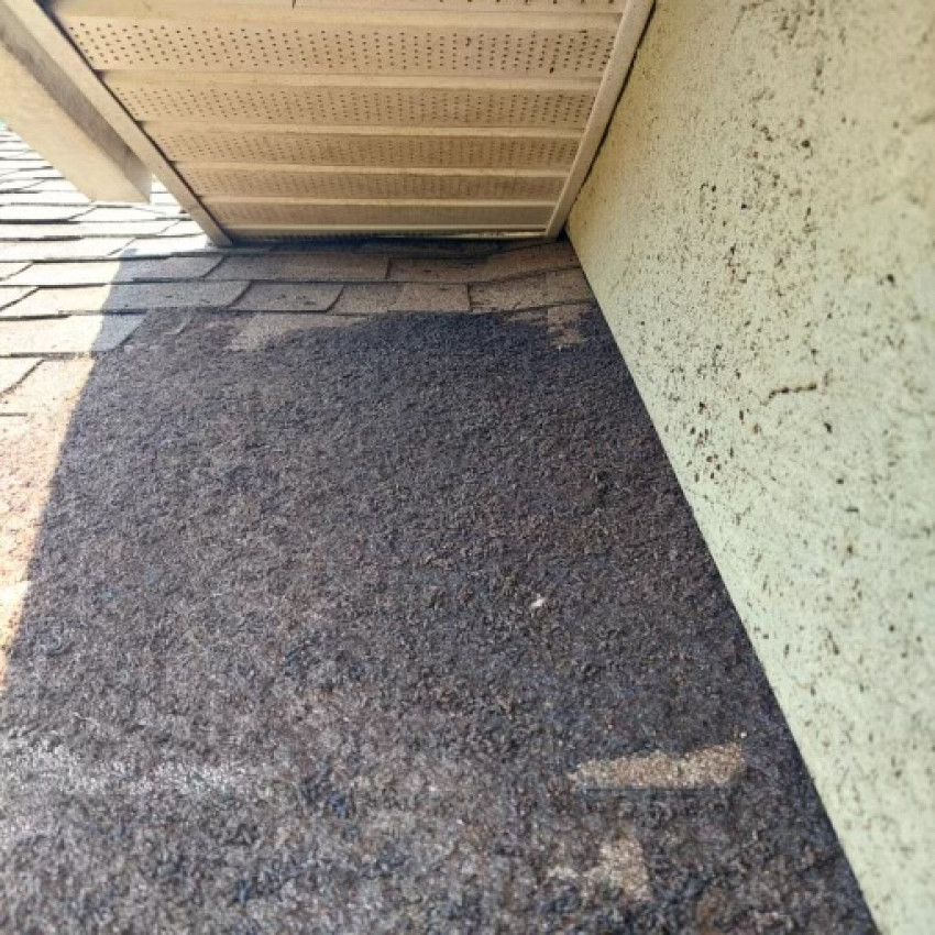 How do I remove bats from my attic?