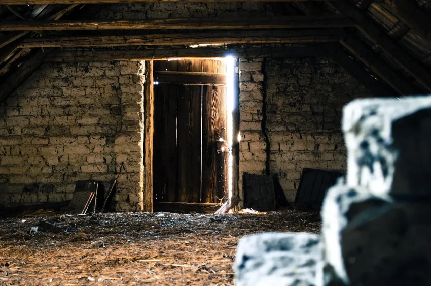 What's That Noise in My Attic? Identifying Florida Wildlife by Sound, Smell, and Damage