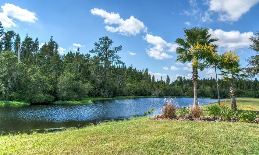 Central Florida Wildlife Activity Calendar: Which Animals Get Into Homes, and When